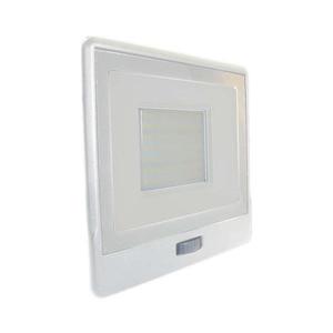 LED Proiector cu senzor LED/50W/230V IP65 imagine