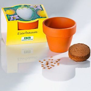 Kit de cultivare a vinetei imagine