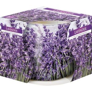 Lumânare parfumată în sticlă Lavender, 100 g, 7, 2 cm imagine