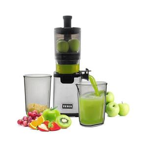 Storcător melcat pentru fructe și legume TESLA Electronics SlowJuicer Deluxe 250W/230V oțel inoxidabil imagine