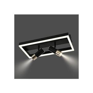 Plafonieră LED dimabilă LED/50W/230V 3000-6500K negru + telecomandă imagine