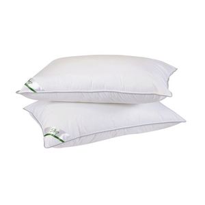 Set 2 perne Sleep by Green Future 10% puf gasca 90% pana de gasca, 50x70 cm imagine