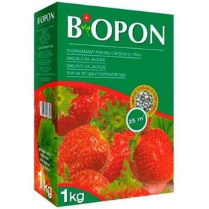 Ingrasamant pentru capsuni si fragi Biopon, 1 kg imagine