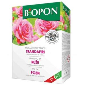 Ingrasamant pentru trandafiri Biopon 1 kg imagine