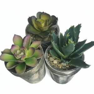 Plantă artificială în ghiveci Succulent, set de 3 imagine