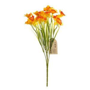 Narcisă galben-portocalie, buchet cu 15 flori, h.32 cm imagine