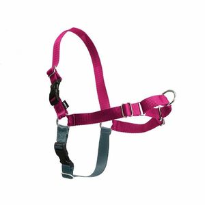 PetSafe Harness EasyWalk zmeură M imagine