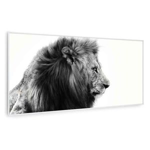 Klarstein Wonderwall Air Art Smart, radiator cu infraroșu, 60 x 120 cm, 700 W imagine