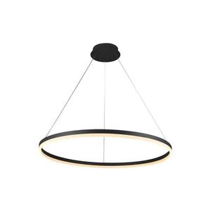 Lustră LED dimabilă pe cablu Brilagi CIRCLE LED/55W/230V 3000-6500K negru + telecomandă imagine