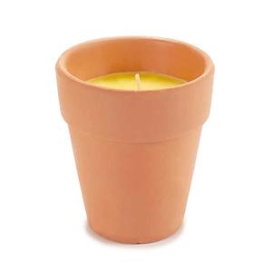 Lumanare parfumata Citronella in ghiveci din lut, 8 x 8 cm imagine