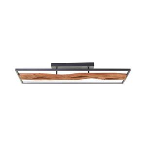 Plafonieră LED dimabilă Brilliant CHAUMONT LED/48W/230V – FSC imagine