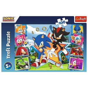 Puzzle Trefl Sonic Cunoașteți ariciul, 100 bucăți imagine