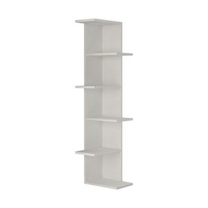Biblioteca Saso White imagine