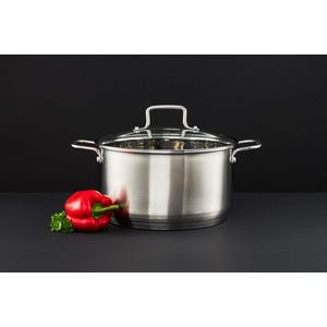 Oala cu capac Hugo, Ambition, 22 cm, 3.5 L, inox AISI 304/sticla, argintiu imagine