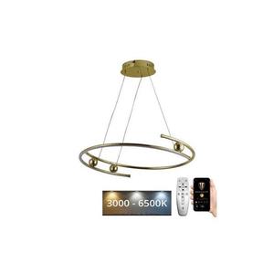 Lustră LED pe cablu dimabilă LED/50W/230V 3000-6500K + telecomandă imagine