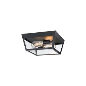 Plafonieră de exterior Westinghouse 61219 PETERSON 2xE27/40W/230V IP44 imagine