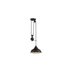 Lustră pe cablu Westinghouse 61249 CHAVES 1xE27/60W/230V imagine