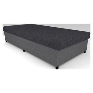 Pat de zi tapițat cu spațiu de depozitare CORY 80x200 gri imagine