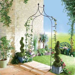 Design pentru plante cățărătoare imagine
