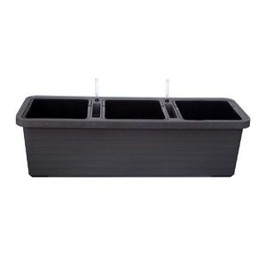 Plastia Plantă cu auto-apărare Berberis TRIO , antracit imagine