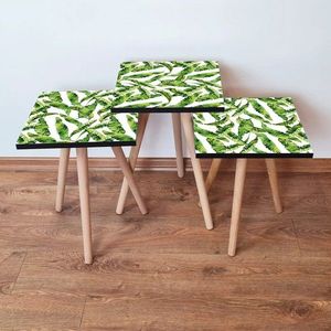 Set masute 3 piese, Leona, 3SHP253, Verde/Alb imagine