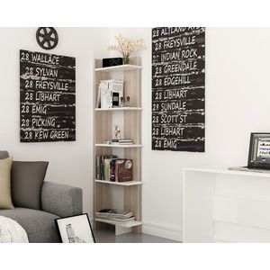 Corp biblioteca, Zena Home, Als, PAL, Cordoba / Alb imagine