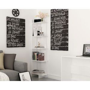 Corp biblioteca, Zena Home, Als, PAL, Alb imagine