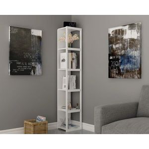 Corp biblioteca, Zena Home, Texas, PAL, Alb imagine