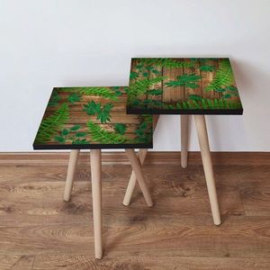 Set masute 2 piese, Leona, 2SHP14, Verde/Maro imagine
