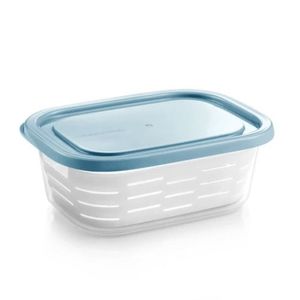 Recipient pentru congelator cu coș Tescoma 4FOOD 2, 0 l, 2 l imagine