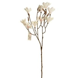 Magnolia ramură albă 70 cm înălțime. 9 flori șimuguri imagine