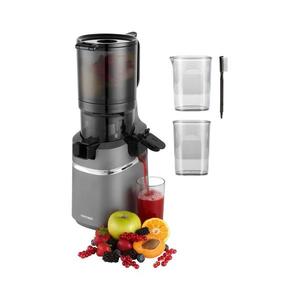 Storcător melcat pentru fructe și legume Concept LO7120 JUICY 250W/230V gri imagine