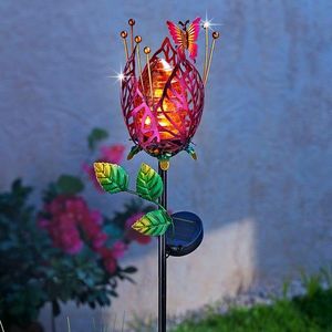 Floare cu lumină solară de grădină imagine
