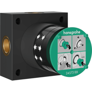 Corp incastrat Hansgrohe Basic pentru palarii de dus cu 2 jeturi imagine