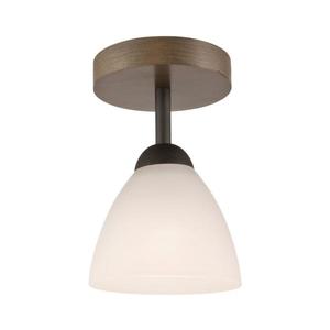 Lustră aplicată ADRIANO 1xE27/60W/230V imagine