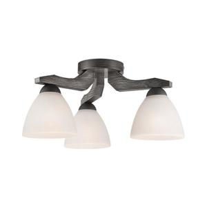 Lustră aplicată ADRIANO 3xE27/60W/230V imagine