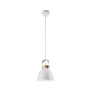 Lustră pe cablu DANIELLE 1xE27/60W/230V imagine