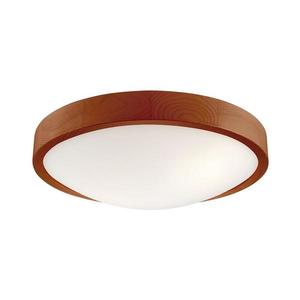 Plafonieră MEDA 2xE27/60W/230V imagine