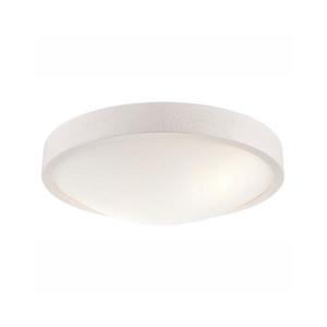 Plafonieră MEDA 2xE27/60W/230V imagine