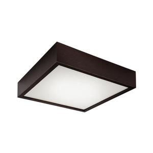 Plafonieră 2xE27/60W/230V imagine