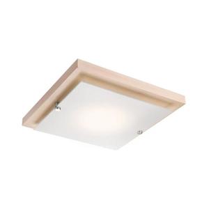Plafonieră LED 1xLED/12W/230V imagine
