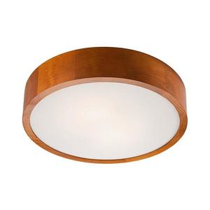 Plafonieră LED 1xLED/24W/230V imagine