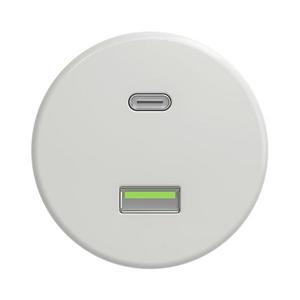 Priză USB A+C de epocă lap alb imagine