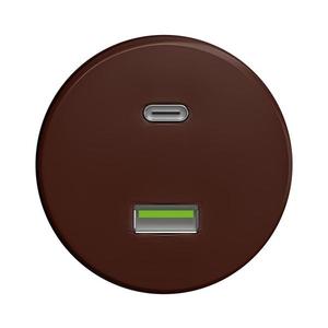 Priză USB A+C de epocă lap maro imagine