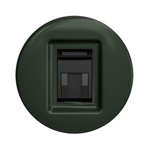 Priză de date de epocă lap verde imagine