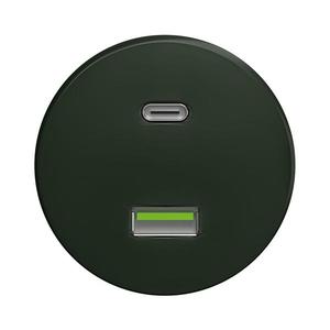 Priză USB A+C de epocă lap verde imagine