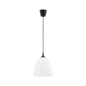 Lustră pe cablu LERA 1xE27/15W/230V negru imagine