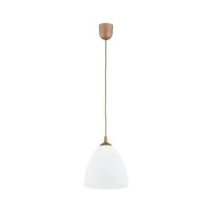 Lustră pe cablu LERA 1xE27/15W/230V auriu imagine
