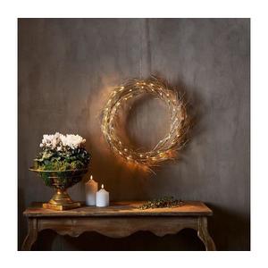 Decorațiune LED de Crăciun FIZZY 50xLED/0, 06W/5/230V Eglo 411421 imagine