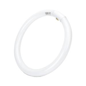 Tub LED fluorescent T9 G24q-1/32W/230V 6500K imagine